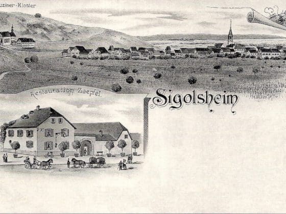 vue de Sigolsheim
